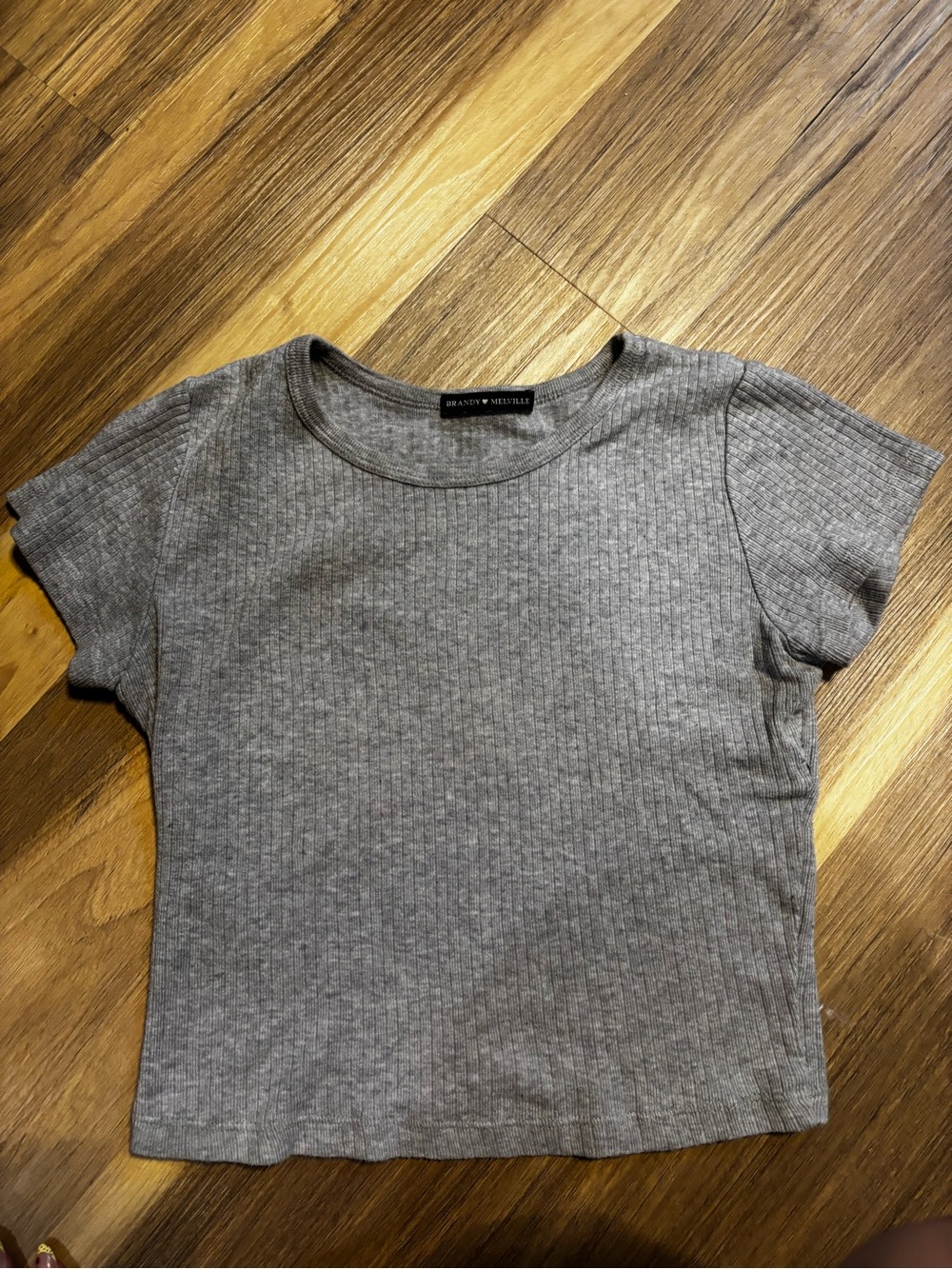 Brandy Melville Heather Gray Ribbed Short Sleeve Crop